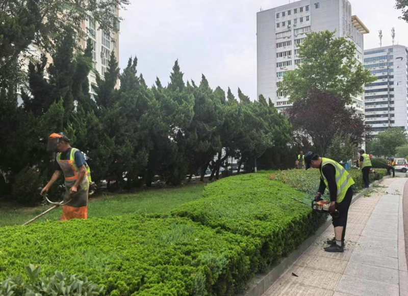 未命名_副本.jpg