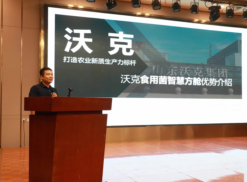 未命名_副本.jpg