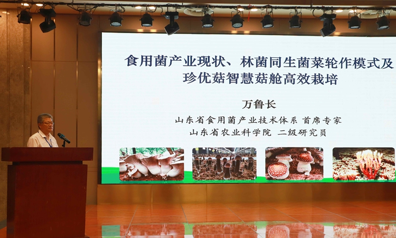 未命名_副本.jpg
