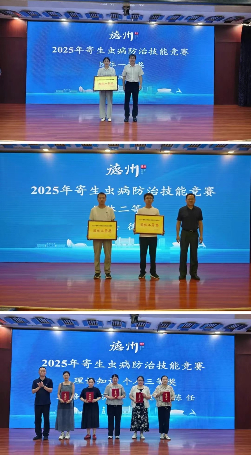 未命名_副本.jpg