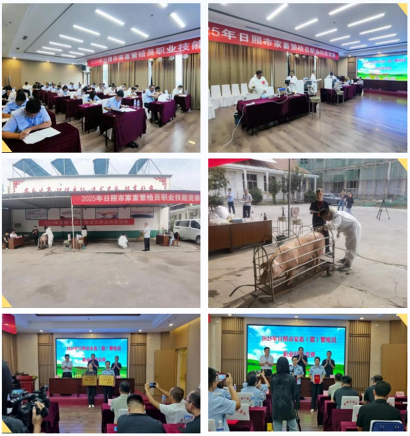 未命名_副本.jpg 未命名_副本.jpg