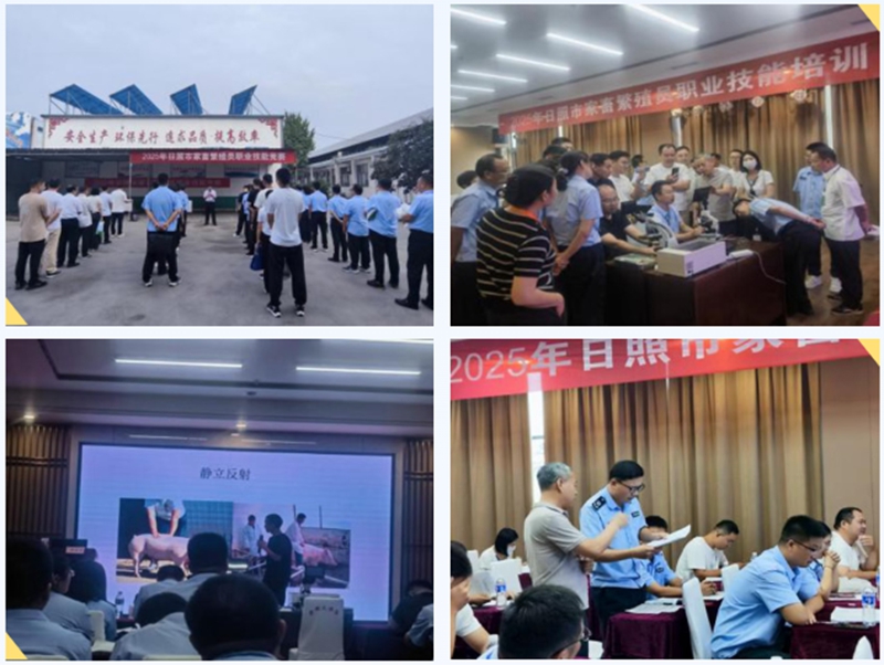 未命名_副本.jpg 未命名_副本.jpg