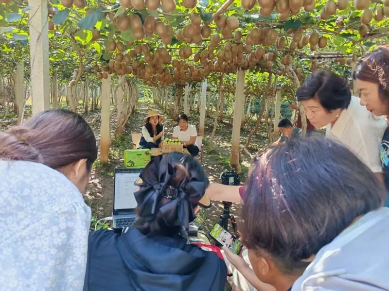 未命名_副本.jpg 未命名_副本.jpg