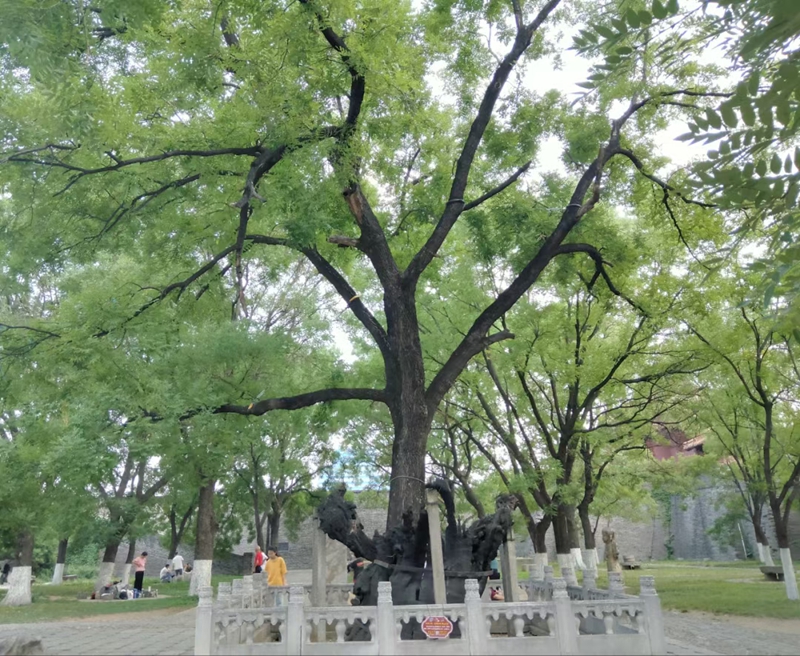 未命名_副本.jpg 未命名_副本.jpg