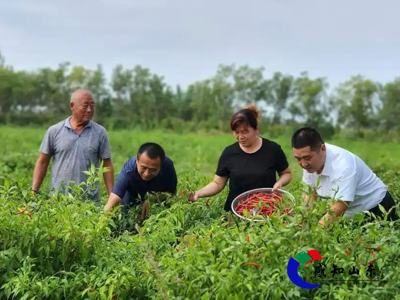 微信图片_20251004182153.png 微信图片_20251004182153.png