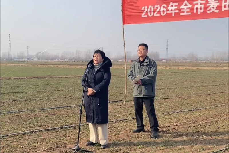 未命名_副本.jpg 未命名_副本.jpg